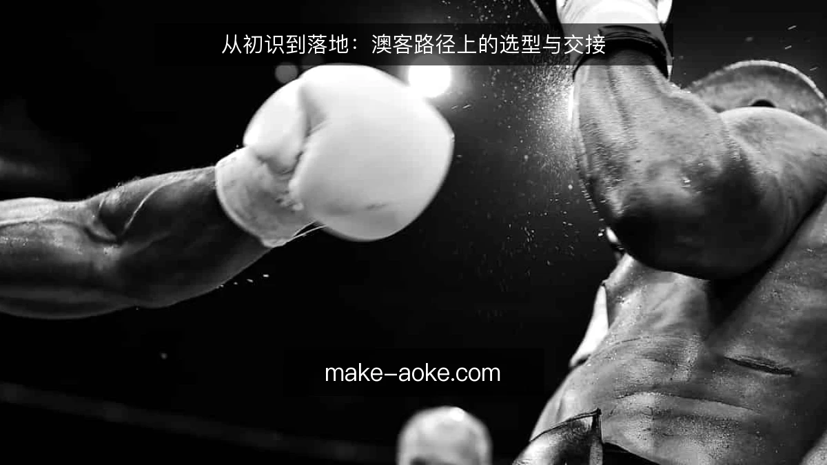 从初识到落地：澳客路径上的选型与交接